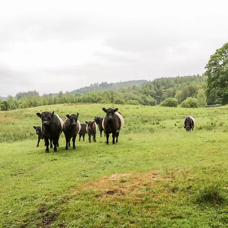 Thirlmere Ambleside